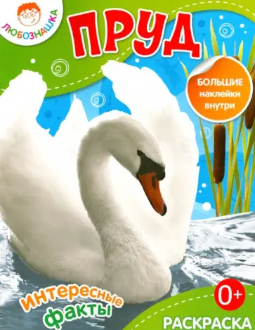 Пруд обложка книги