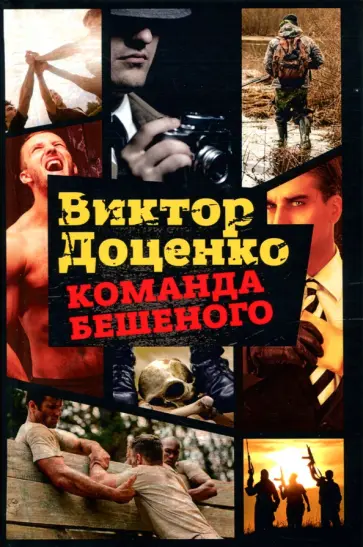 Команда Бешеного обложка книги