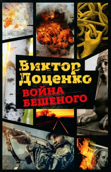 Война Бешеного обложка книги