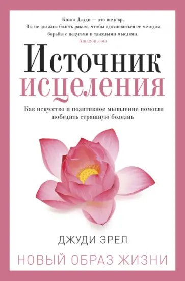 Источник исцеления обложка книги