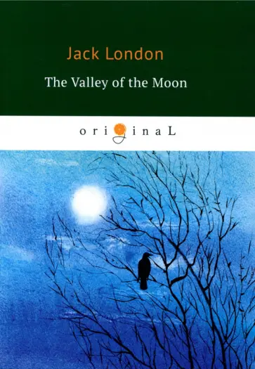 The Valley of the Moon обложка книги