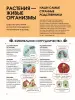 Миниатюра 3