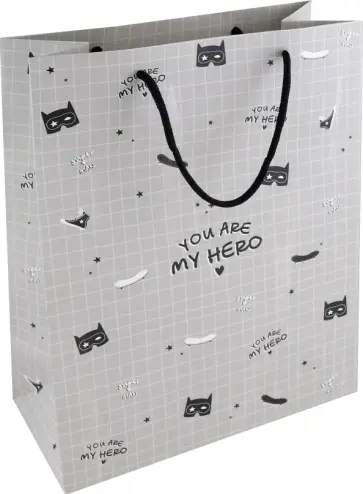 Пакет подарочный Skate, серый, 25*32см обложка книги