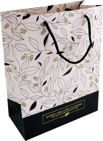 Пакет подарочный June, розовый обложка книги