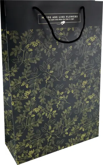 Пакет подарочный June, черный, 32*49см обложка книги