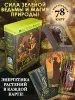 Миниатюра 4