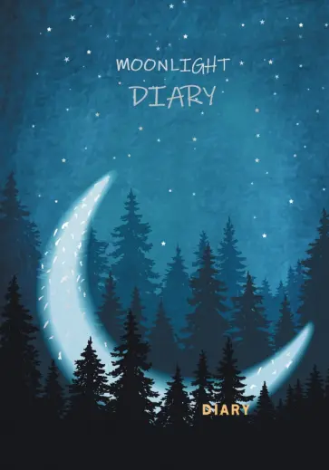 Ежедневник недатированный Moonlight, А5, 128 листов обложка книги