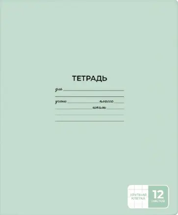 Тетрадь Светло-зеленая, А5+, 12 листов, крупная клетка обложка книги