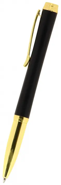 Ручка автоматическая шариковая Pralormo, синяя Ручка автоматическая шариковая Pralormo, синяя обложка книги