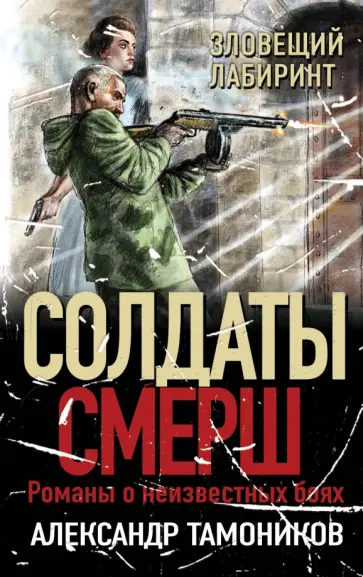 Александр Тамоников - Зловещий лабиринт обложка книги