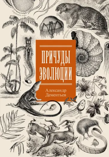 Александр Дементьев - Причуды эволюции Александр Дементьев - Причуды эволюции обложка книги
