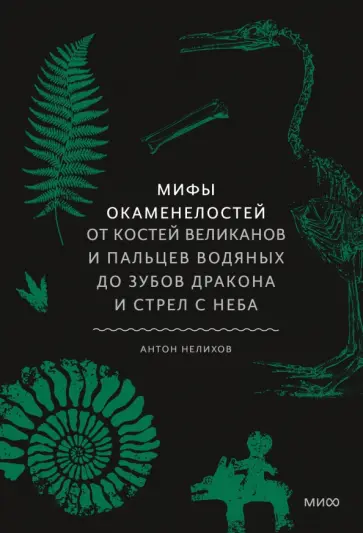 Антон Нелихов - Мифы окаменелостей. От костей великанов и пальцев водяных до зубов дракона и стрел с неба обложка книги