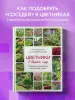 Миниатюра 4