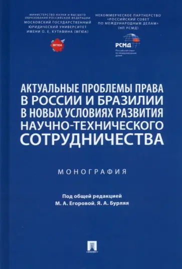 Коста, Цареградская - Актуальные проблемы права в России и Бразилии в новых условиях развития. Монография обложка книги