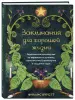 Миниатюра 2
