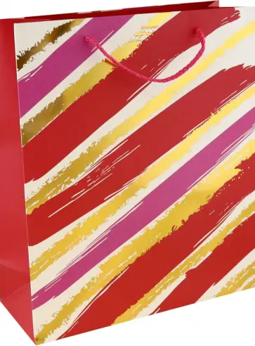 Пакет подарочный Waves and Stripes, в ассортименте обложка книги