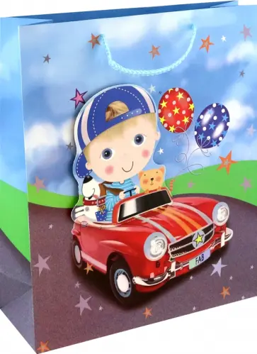 Пакет подарочный Мальчишки и девчонки, в ассортименте обложка книги