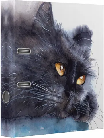 Папка с арочным механизмом Black Cat, A4, 75 мм обложка книги