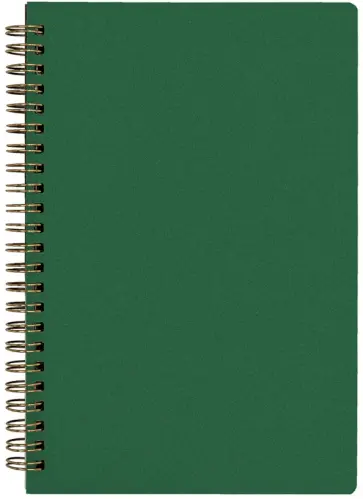 Тетрадь Pragmatic. 60 листов, клетка, зеленый обложка книги