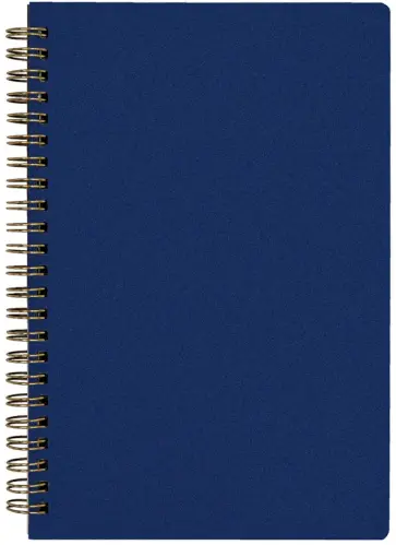 Тетрадь Pragmatic. 60 листов, клетка, синий обложка книги