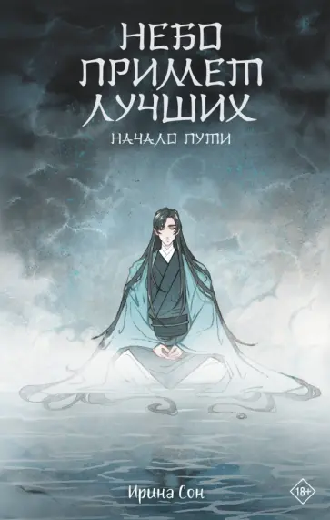 Ирина Сон - Небо примет лучших Ирина Сон - Небо примет лучших обложка книги
