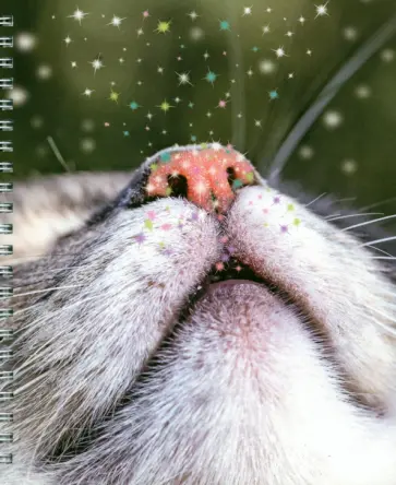 Тетрадь Блестящие и милые, 48 листов, А5, клетка, в ассортименте обложка книги