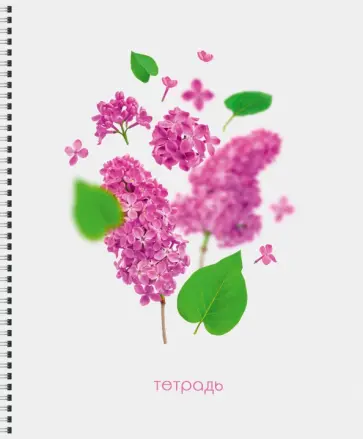 Тетрадь Невесомость, 96 листов, А5, клетка, в ассортименте обложка книги