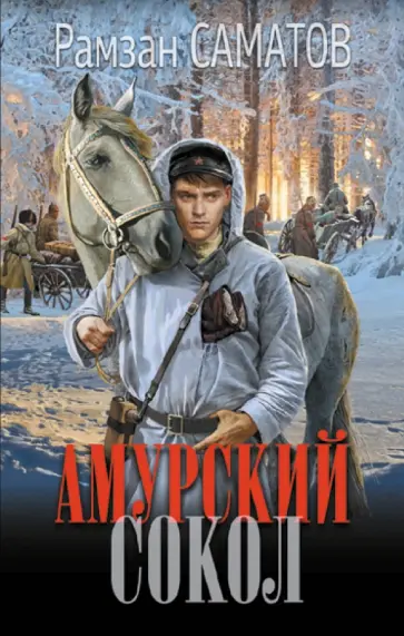 Рамзан Саматов - Амурский сокол обложка книги