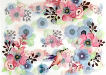 Папка-конверт на кнопке пластиковая Colibri, A4 обложка книги