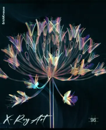 Тетрадь общая X-Ray Art, А5, 96 листов, клетка, в ассортименте Тетрадь общая X-Ray Art, А5, 96 листов, клетка, в ассортименте обложка книги