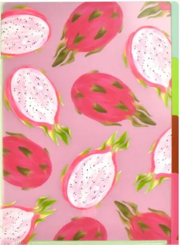 Папка-уголок для документов пластиковая Драконий фрукт, А4 обложка книги