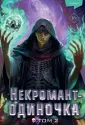 Young Adult. Некромант-одиночка