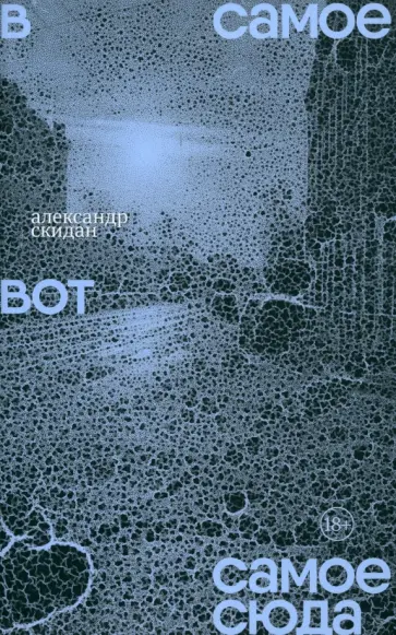 Александр Скидан - В самое вот самое сюда. Стихи 2020–2023 Александр Скидан - В самое вот самое сюда. Стихи 2020–2023 обложка книги