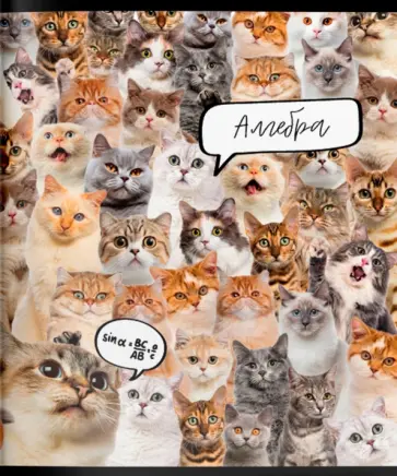 Тетрадь предметная Кошачий мир. Алгебра, А5, 48 листов, клетка обложка книги