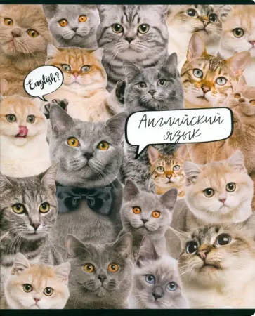 Тетрадь предметная Кошачий мир. Английский язык, А5, 48 листов, клетка обложка книги
