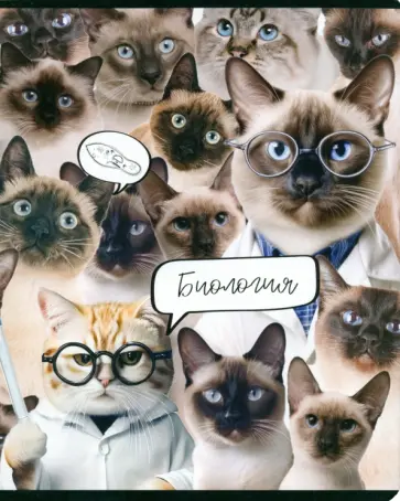 Тетрадь предметная Кошачий мир. Биология, 48 листов, клетка, А5 обложка книги