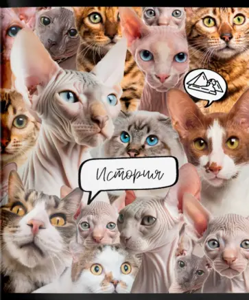 Тетрадь предметная Кошачий мир. История, 48 листов, клетка, А5 обложка книги