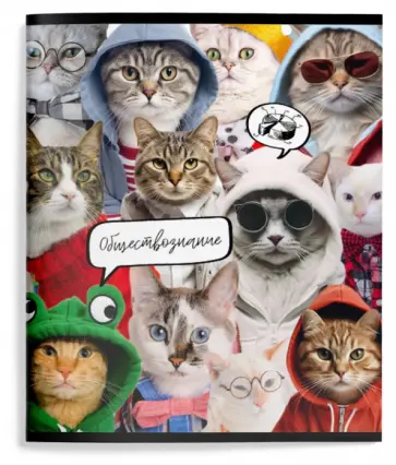 Тетрадь предметная Кошачий мир. Обществознание, А5, 48 листов, клетка обложка книги