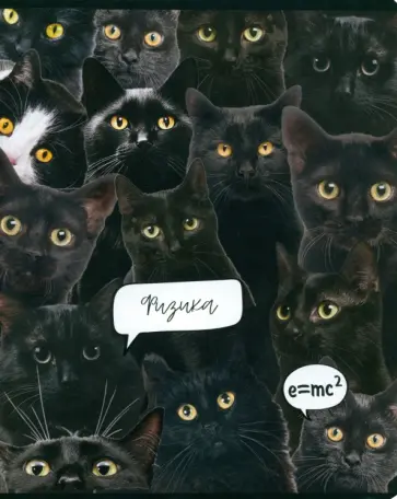 Тетрадь предметная Кошачий мир. Физика, А5, 48 листов, клетка Тетрадь предметная Кошачий мир. Физика, А5, 48 листов, клетка обложка книги