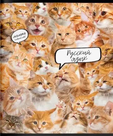 Тетрадь предметная Кошачий мир. Русский язык, А5, 48 листов, линия обложка книги