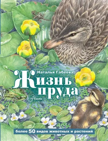 Наталья Габеева - Жизнь пруда Наталья Габеева - Жизнь пруда обложка книги
