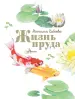 Миниатюра 4