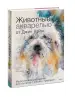 Миниатюра 2