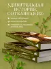 Миниатюра 4