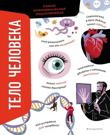 Анна Романо - Тело человека. Самая анатомическая энциклопедия обложка книги