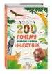 Миниатюра 2