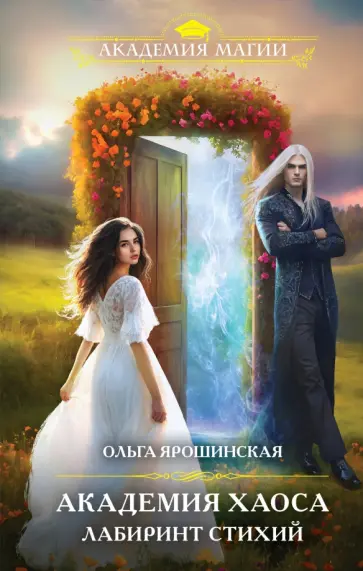 Ольга Ярошинская - Академия хаоса. Лабиринт стихий обложка книги