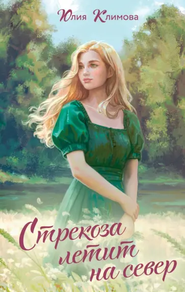 Юлия Климова - Стрекоза летит на север обложка книги