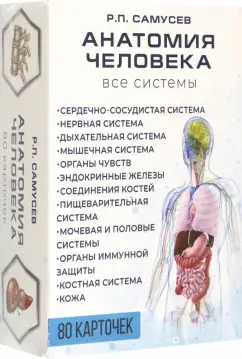 Обложка книги Анатомия человека. 80 карточек. Все системы, Самусев Рудольф Павлович