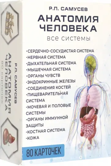Рудольф Самусев - Анатомия человека. 80 карточек. Все системы Рудольф Самусев - Анатомия человека. 80 карточек. Все системы обложка книги